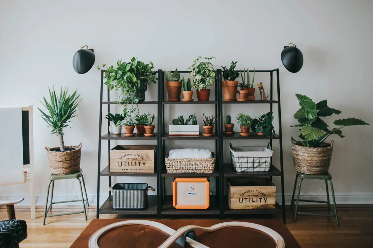 Minimalizm Nedir? Daha Azla Daha Fazla Yaşamanın Felsefesi ve Pratik Rehberi