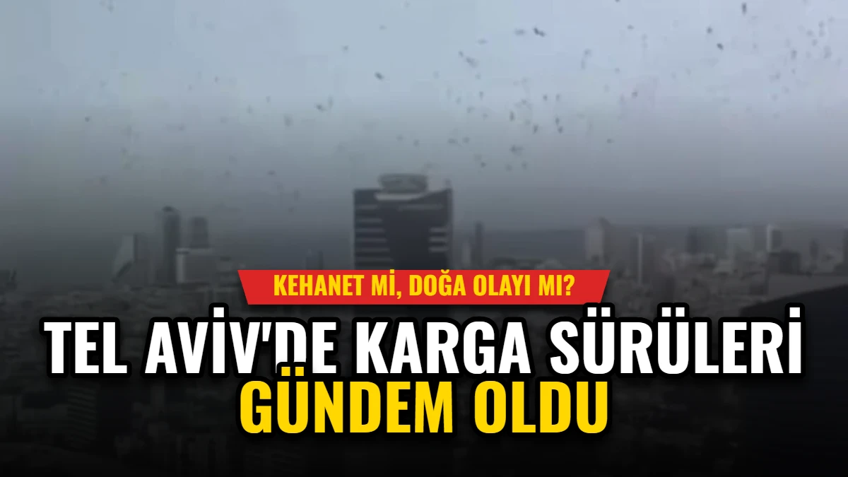 Tel Aviv'de Karga Sürüleri Gündem Oldu: Kehanet mi, Doğa Olayı mı?